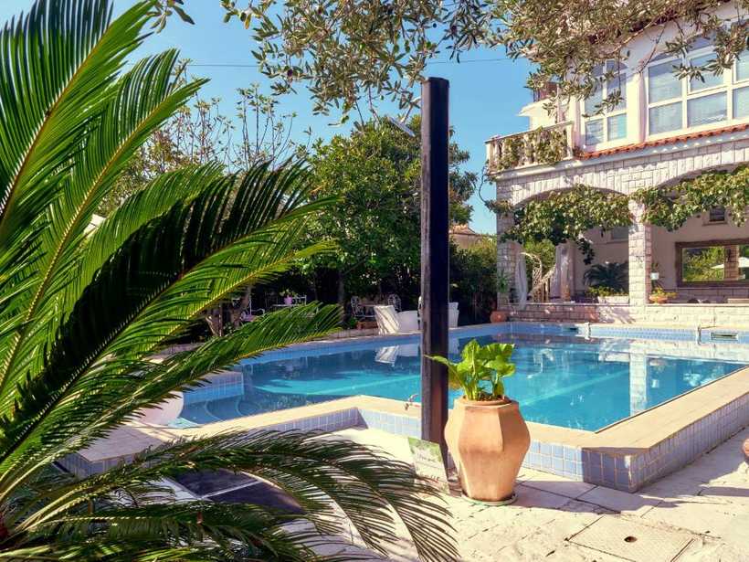 Pool surrounded by Mediterranean garden